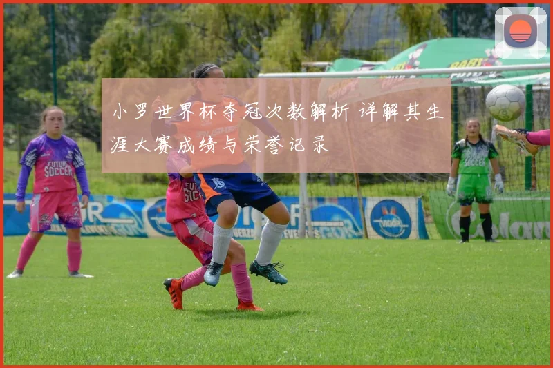 小罗世界杯夺冠次数解析 详解其生涯大赛成绩与荣誉记录