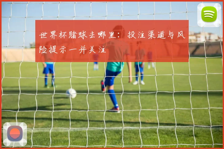 世界杯赌球去哪里:投注渠道与风险提示一并关注