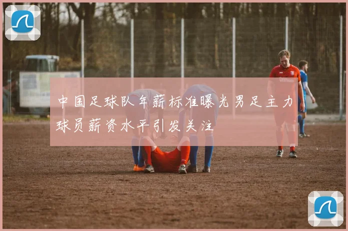 中国足球队年薪标准曝光男足主力球员薪资水平引发关注
