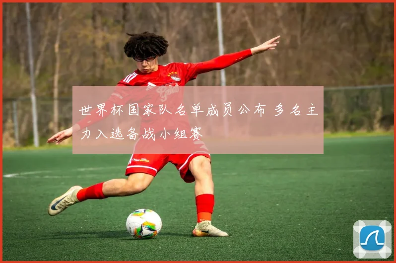 世界杯国家队名单成员公布 多名主力入选备战小组赛