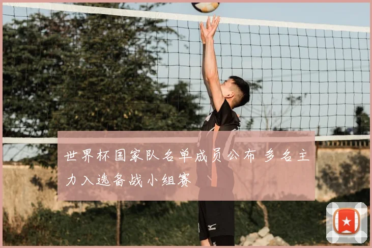 世界杯国家队名单成员公布 多名主力入选备战小组赛