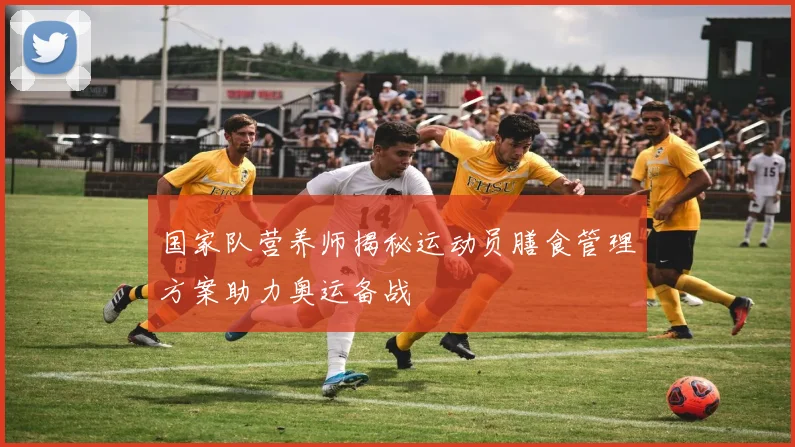 国家队营养师揭秘运动员膳食管理方案助力奥运备战
