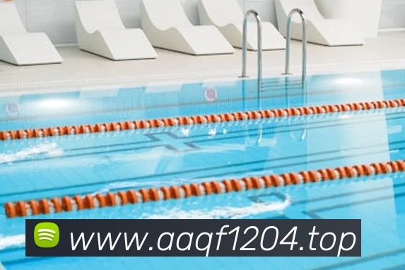 世界杯在线看球平台生态图